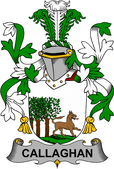 Callaghan Coat of Arms